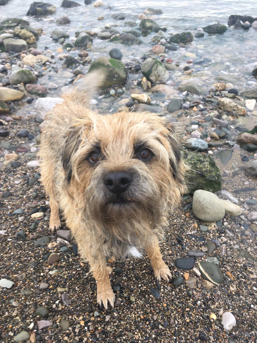 jack_border's tweet image. Went to da beach, it was lots of fun!!!