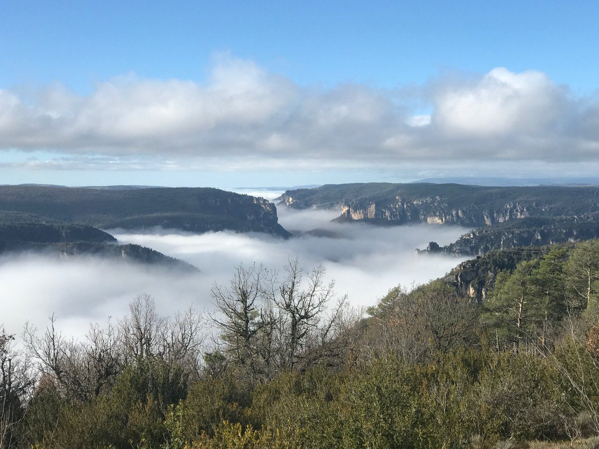 Siwa12100's tweet photo. Vallée de la Dourbie, sous un mer de nuages 🌺 #jeudiphoto #NaturePhotography https://t.co/DUk6F8kcZT