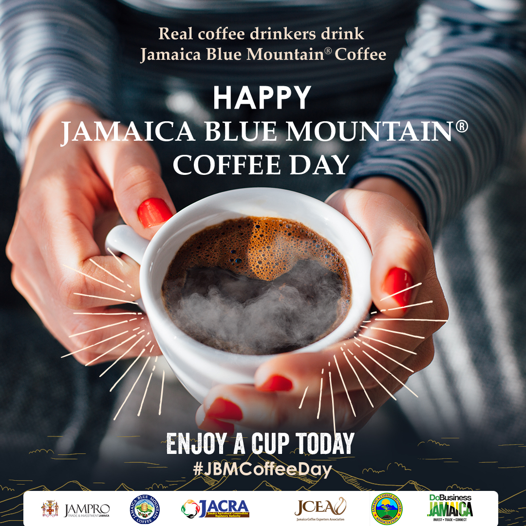 Jamprocorp's tweet photo. Happy Jamaica Blue Mountain Coffee Day! Raise a mug to the world's best coffee this morning as we celebrate the great flavour, strong history and national pride that comes with a sip of #JBMCoffee ! 
#JBMCoffeeDay https://t.co/BUaJjKiF4N