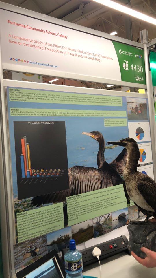 portumnacommsch's tweet image. Professor Donal O’Shea interviewing @portumnacommsch students at stand 4430 @OSheaHoganLab @ucddublin @accsirl #BTYSTE2020 #loughderg #createtodayshapetomorrow