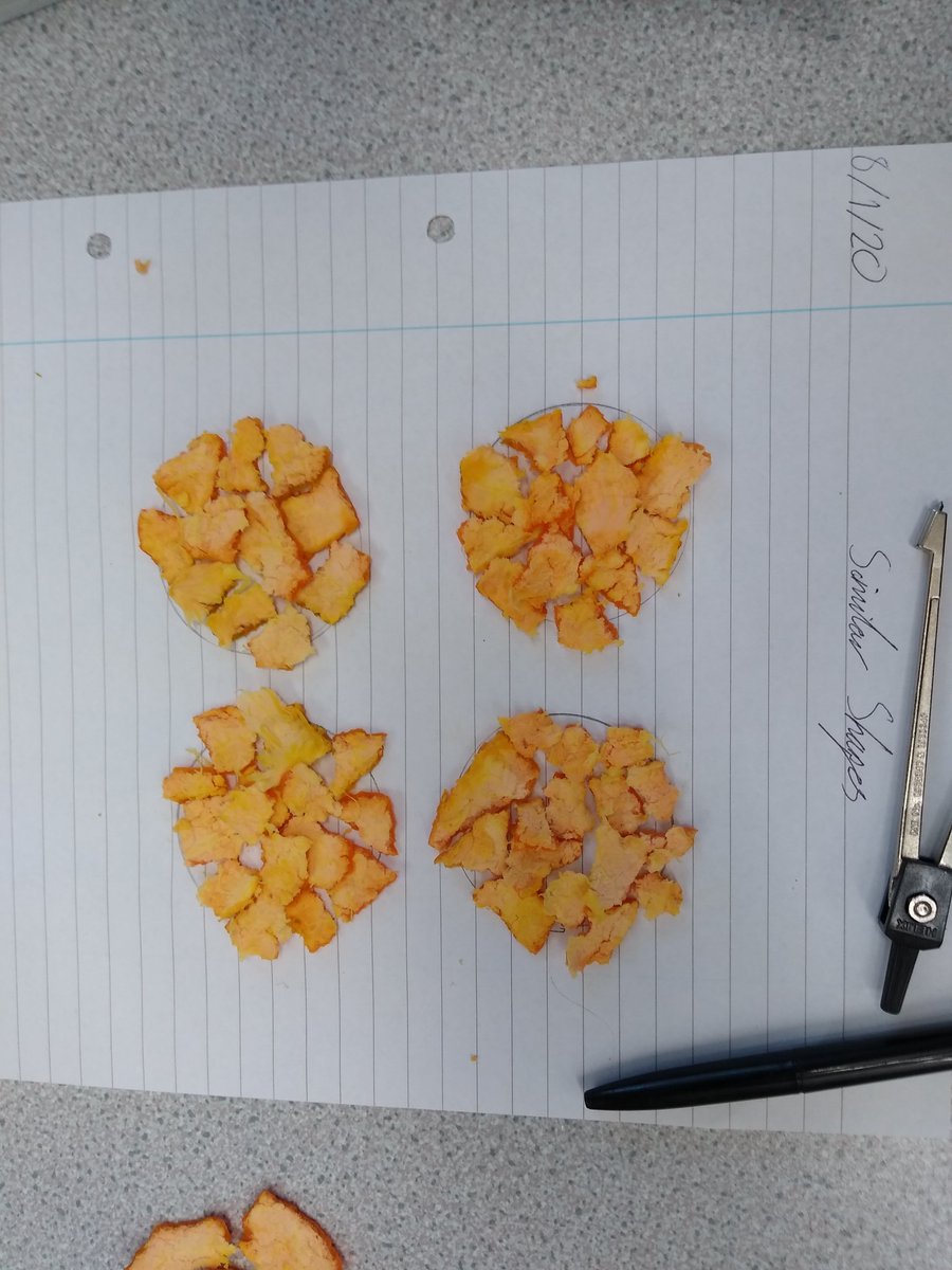 MonktonMaths's tweet photo. Y10 showing us the surface area of a sphere = 4πr^2 https://t.co/Arj3Tk5MPx