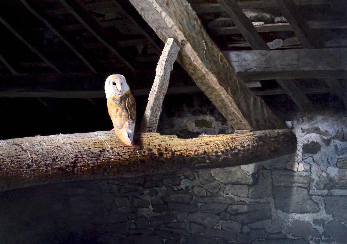 Carnesfineart's tweet photo. Original oil paintings by wildlife artist Michael Demain are available on display at our independent art gallery based at @lovecedarfarm #mawdesley #ormskirk #Lancashire #artgallery #artforsale #owls #birds #originalpaintingsforsale #art https://t.co/S9JWJfht7r