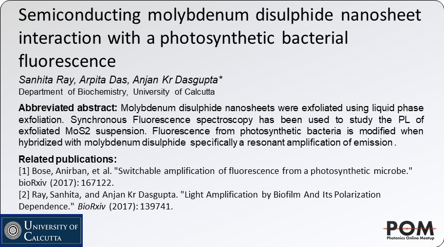 daladysphinx's tweet image. Can PL from a #2Dmaterial be hybridized with fluorescent photopigments? perhaps a way for better #photocapture? AND INTRODUCING #synchronousfluorescence for hybrid material PL characterization... #opticalmaterials @adgcal @ashleyj41691460 @PhotonicsMeetup @ProfArmani #quantum