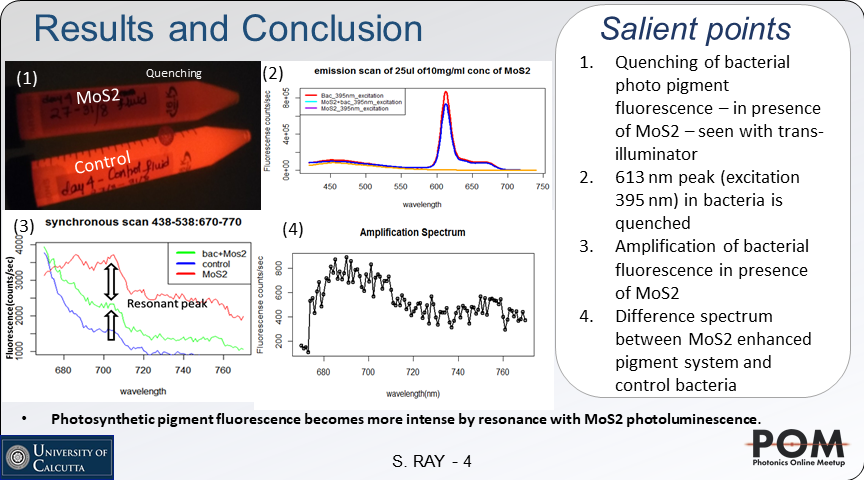 daladysphinx's tweet image. Can PL from a #2Dmaterial be hybridized with fluorescent photopigments? perhaps a way for better #photocapture? AND INTRODUCING #synchronousfluorescence for hybrid material PL characterization... #opticalmaterials @adgcal @ashleyj41691460 @PhotonicsMeetup @ProfArmani #quantum
