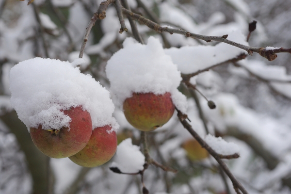 Suffering from Empty Carboy Syndrome? We've got your Fix! conta.cc/2FzZ9kU