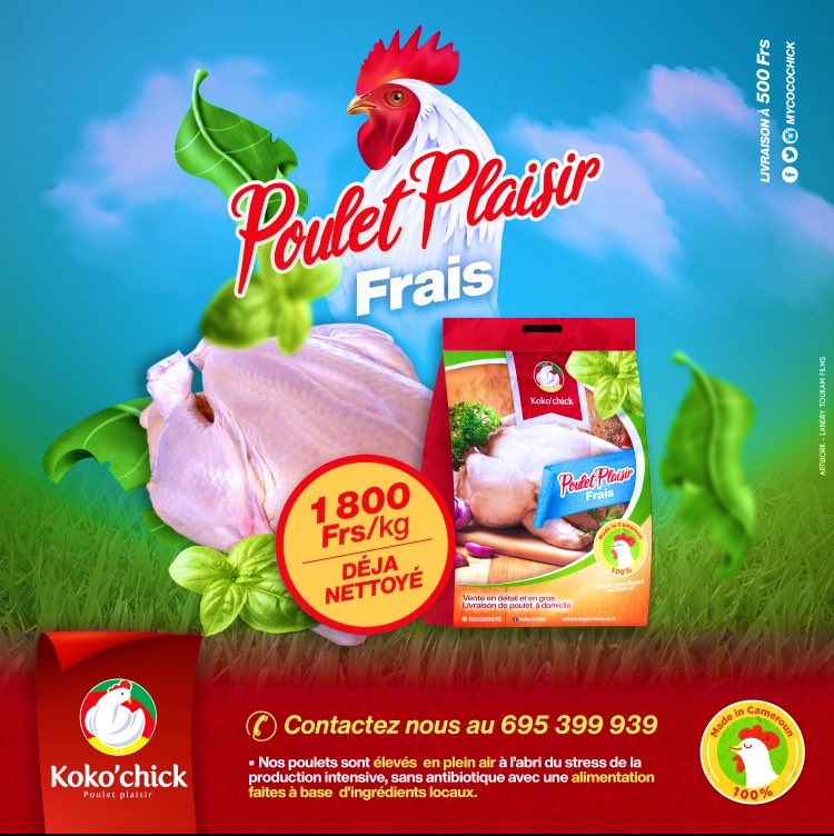 Lisette Ebongue tweet media