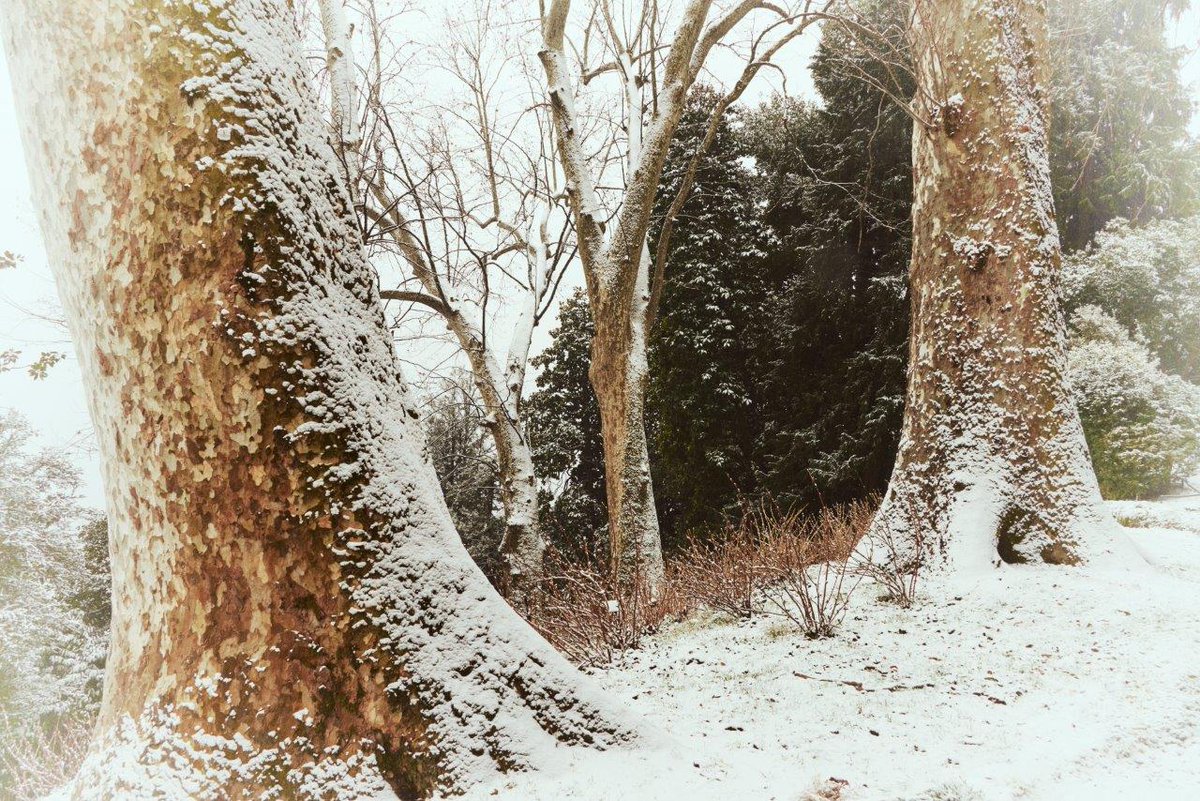 Villa Carlotta | Primi appuntamenti 2020 - mailchi.mp/villacarlotta/…