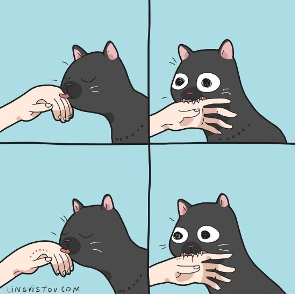 Котик Кусь