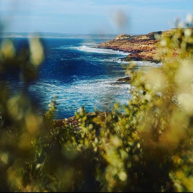 kamischa_com's tweet photo. So sad 😭 #australia #wa coastline 
#dji #czechgirl #dronepic #mymavic #djiamazing #djimavicpro #dronegram  #drones #wildculturecz #dronefly #amazingwa #summer #fromabove #fromewhereidrone #vscoaward #vscocze #igerscz #ig_masterpiece #adventure #froma… https://t.co/0NPwLEHTTC https://t.co/glYYCVVBMr