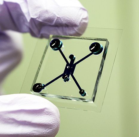 HeartIn_net's tweet image. Tumor Chip Incorporates Vascular System for More Realistic Drug Testing  #Medicine #Oncology #Patholo #fitness #health #training #healthy #healthylifestyle #cardio #healthyliving #healthylife #medicine #healthcare #AI #cardioworkout #cardiologia #card medgadget.com/2020/01/tumor-…