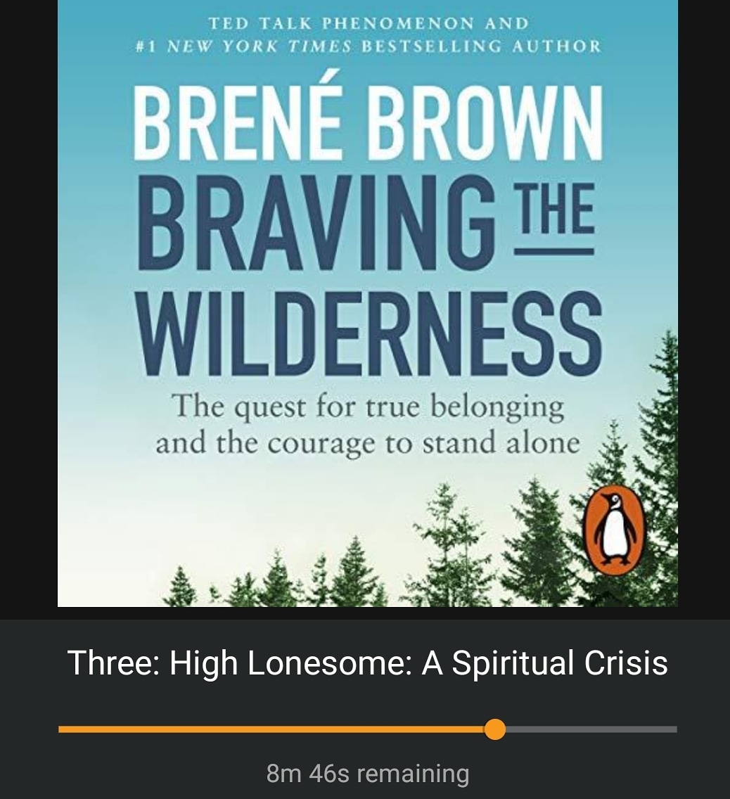 This is a good one 😍 #BreneBrown
