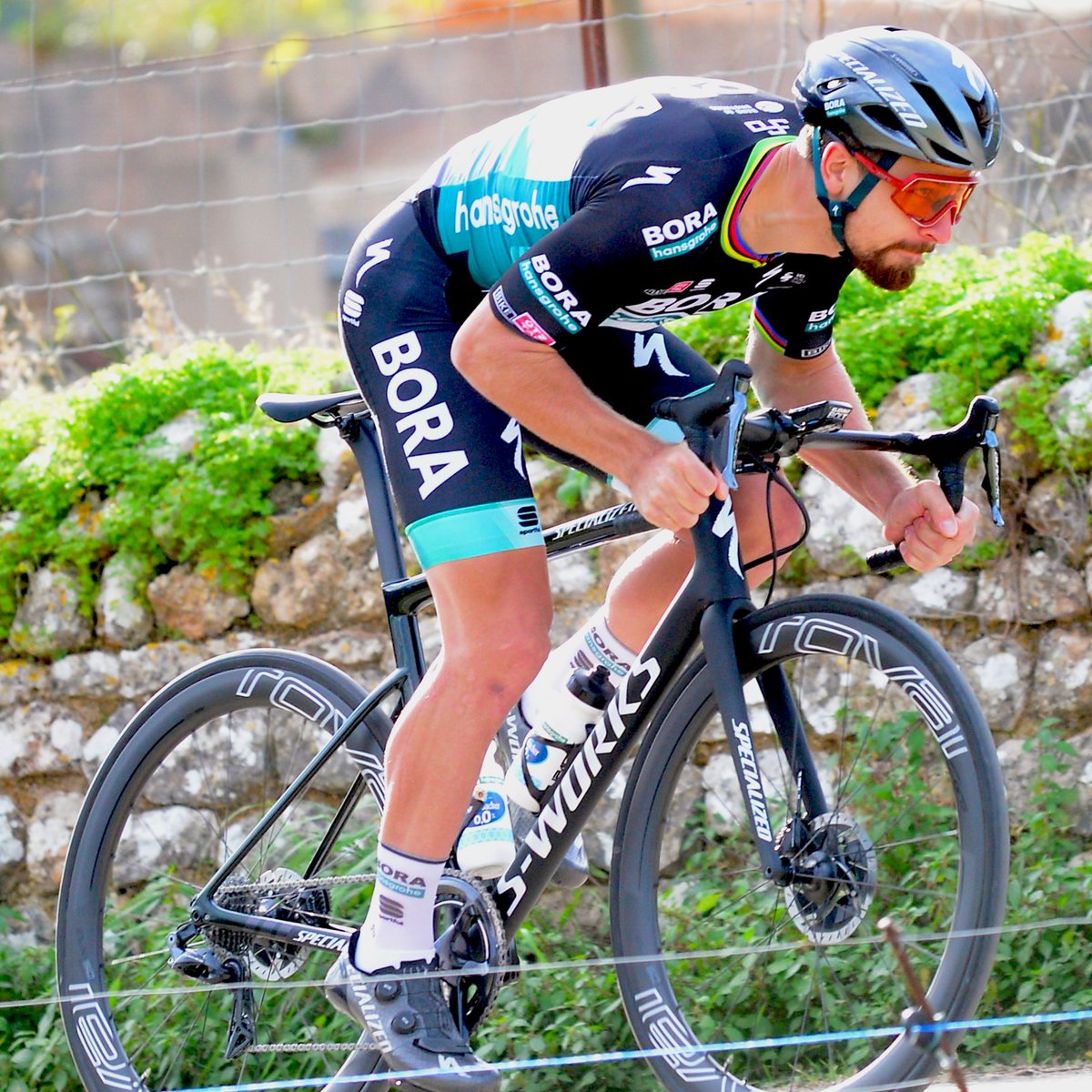Peter Sagan tweet media