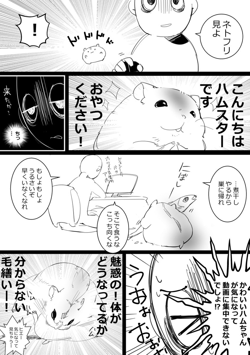 テレビだと困るはむ～ 
