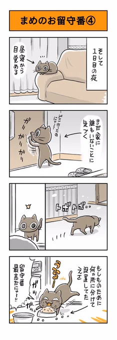 うちのネコは飼い主に優しい。「まめのお留守番④」その⑤に続きます。#猫漫画 #黒猫 #猫 #ネコ #保護猫 #うちのネコは飼い主に優しい 