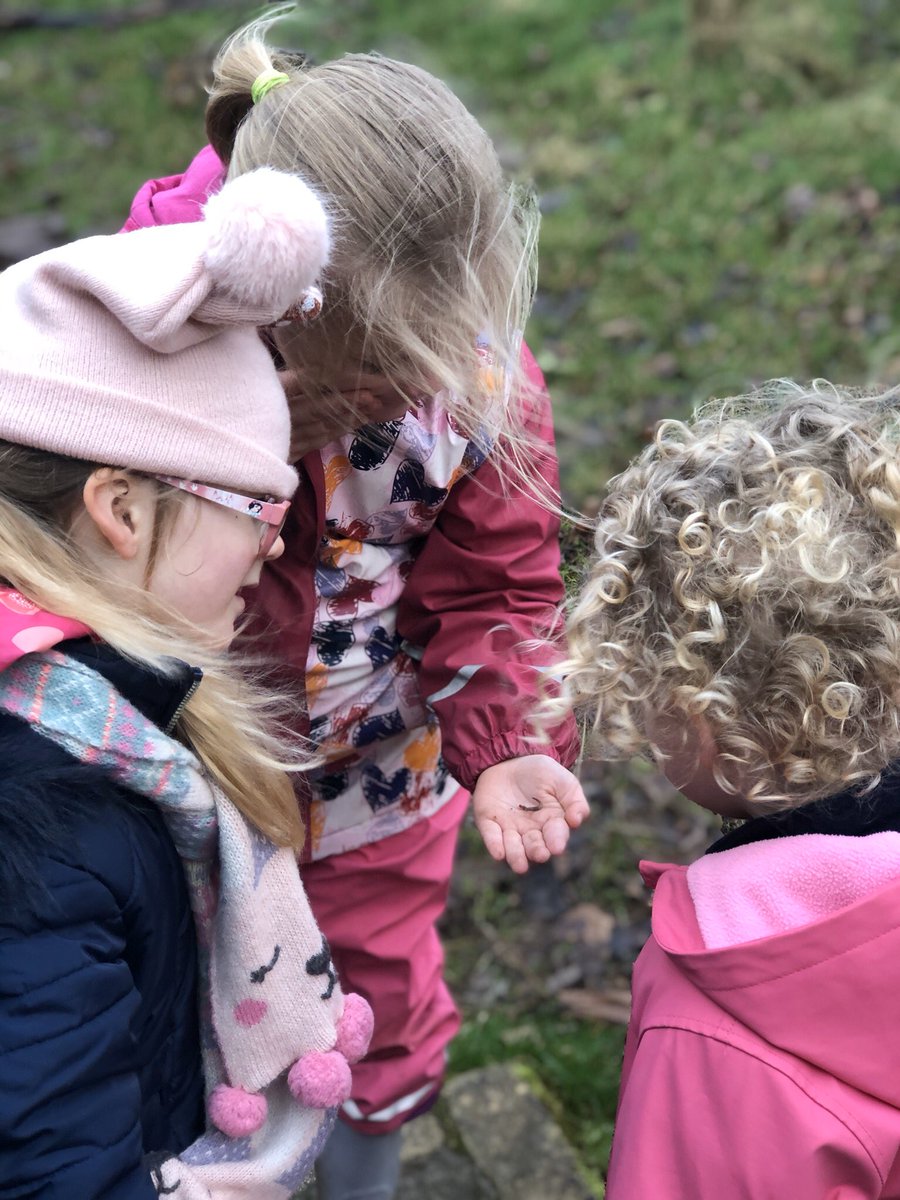 ctkprmcardiff's tweet photo. We have found lots of worms!
#ctkeyu #forestshool https://t.co/3acZn2ME20