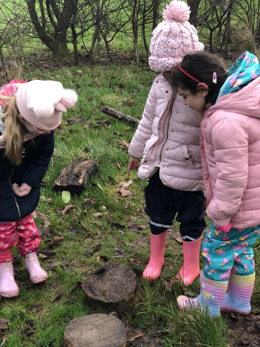 ctkprmcardiff's tweet photo. We have found lots of worms!
#ctkeyu #forestshool https://t.co/3acZn2ME20