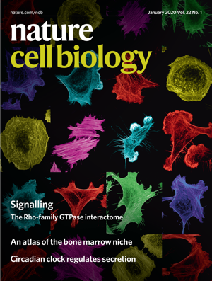 Nature Cell Biology a Twitter: "Also check out the review, how in bone marrow to diverse stresses https://t.co/WA36jaONIX https://t.co/9YTQKHp4cw" / Twitter