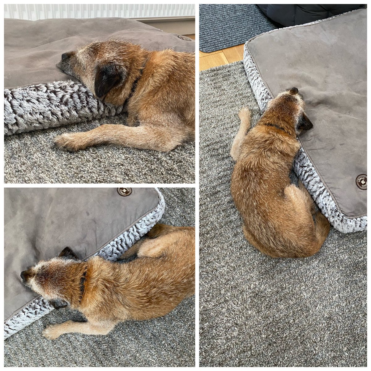 MrSebBT's tweet photo. Position 99 in how to use a bed! #btstyle #btposse https://t.co/upnGOOqAHo