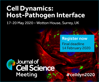 J_Cell_Sci's tweet photo. Deadline 14 February to register for our 2020 Meeting 'Cell Dynamics: Host-Pathogen Interface'. Apply to attend at https://t.co/THbi4SNbw1 #celldyn2020 https://t.co/GL0TndJjZm