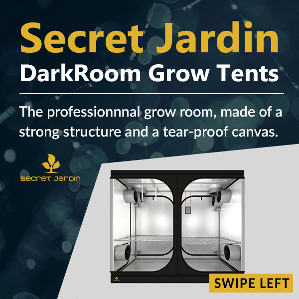 ProgrowUK's tweet photo. Best way to start the year? ⭐
With a new grow room of course!!
The Secret Jardin DarkRoom range is of high quality and fit for professionals.
#progrow #hydroponics #growtent #indoorgrowing #devon #hydroponicshop https://t.co/6tWTl49hu6