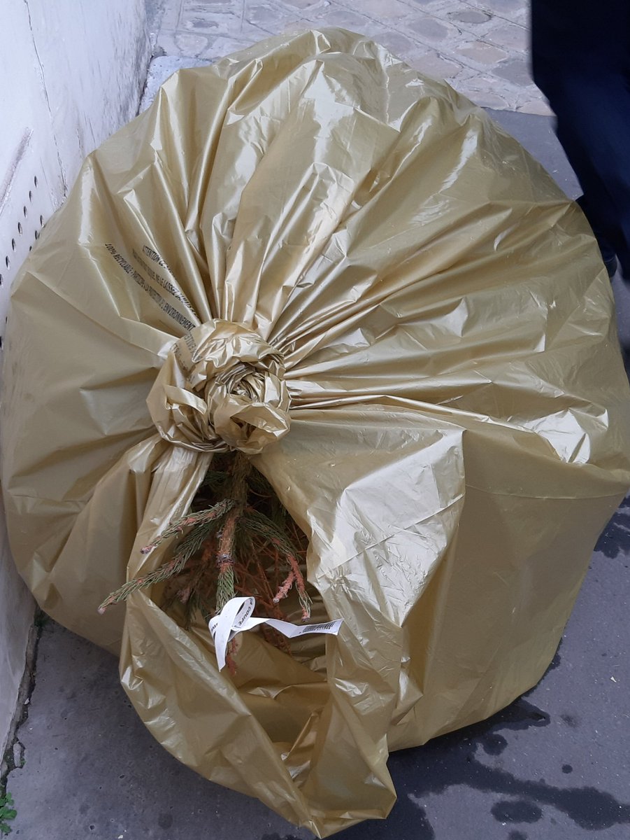 cendrinecruz's tweet photo. #sapinnoel #finmagiedenoël 500m de rue #paris7, plus de 10 sapins abandonnés... pas de problème pour les acheter mais aller les déposer dans les 195 points de recyclage #paris, semble insurmontable. Bel exemple... ça sent un futur service de retrait à domicile #newappli https://t.co/nhSRxL52Jh