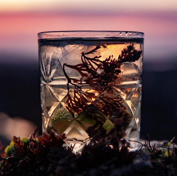 BcnSpiritBrands's tweet photo. Tidal is a golden aged rum infused with oak smoked Pepper Dulse seaweed foraged during spring tides in Jersey.
🐚🥃 

#Bsb_uk #tidal #rum #rumlover #Imbibe #drinkoftheday #seaweedrum #seaweed #sea #oak #smoked #jersey https://t.co/0JvlkgCZx8
