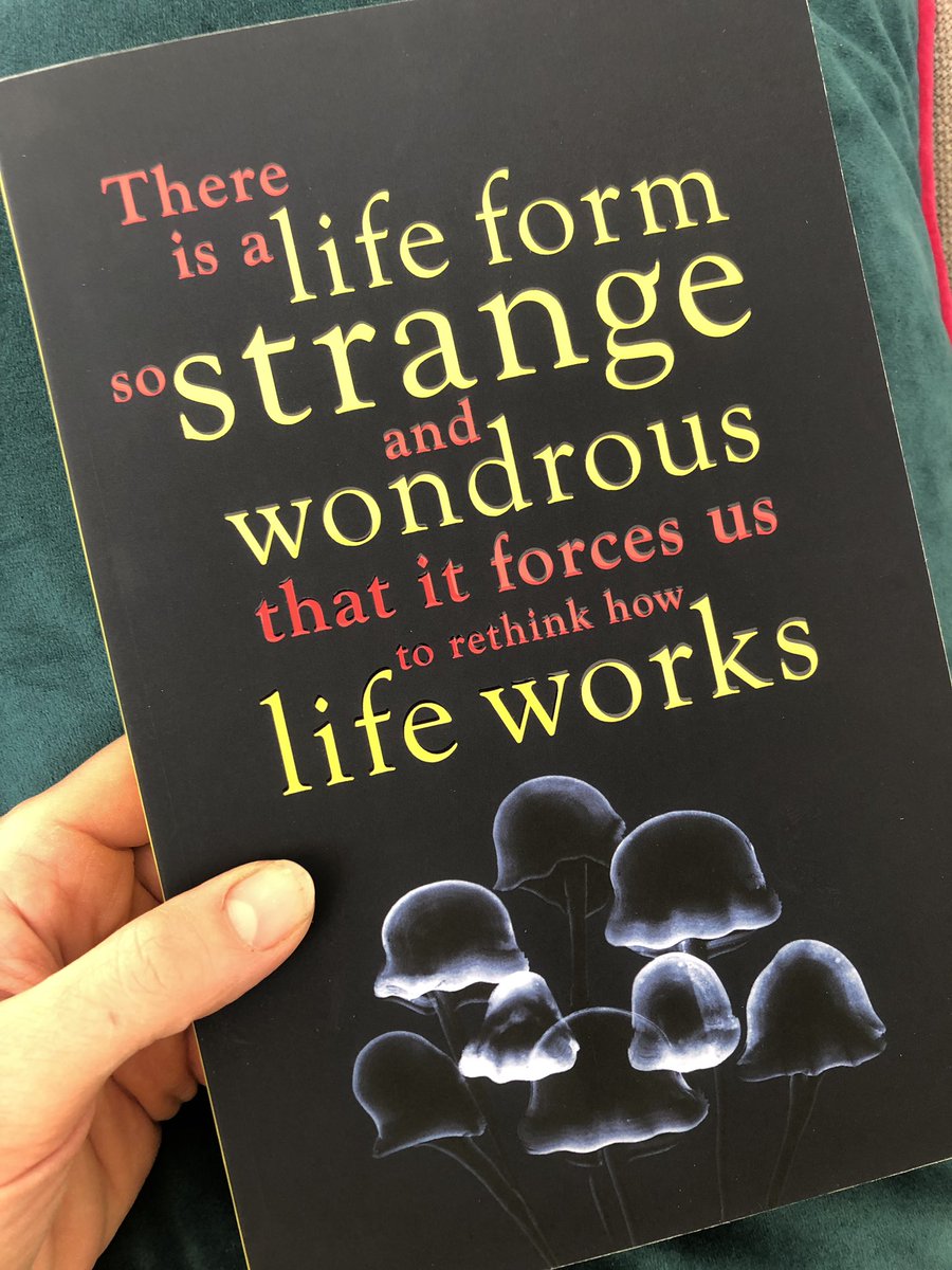 Claire Marshall tweet media