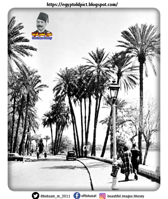 صورة قديمة لكورنيش النيل فى حى الزمالك 1950