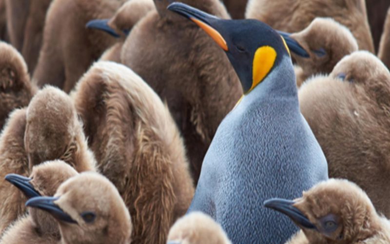 timaf4all's tweet photo. Gartner voorspelt dat marketing hun pogingen tot personalisatie loslaten in 2025 https://t.co/sRle63cq22 https://t.co/OB0y5nKbcz