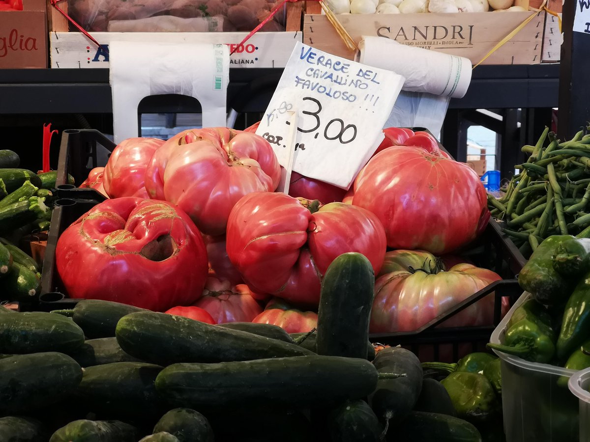 cookinvenice's tweet photo. Good morning, another glorious sunny cold day here in #Venice!
Did you know we can come to your rental apartment to give you a #cookingclass?
DM us or book online!
https://t.co/2PmNA8nhlH
#cookinvenice #privatecookingclass #cookinglesson #cookinitaly #italy #cookingschool https://t.co/5hElsu4aSv