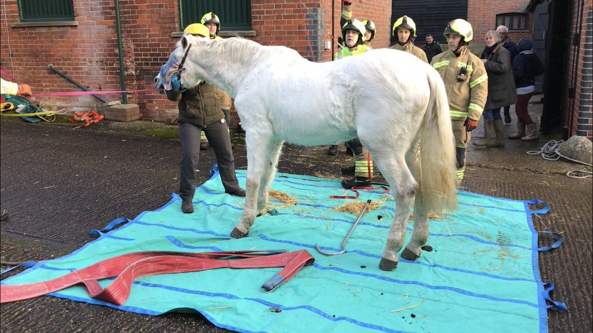 Crews from Haverhill and Bury attended an animal rescue this morning. Khan, a 32 year old horse had fallen in his stable. Great work with some excellent equipment from all those attending resulted in a successful outcome. <a href="/SuffolkFire/">Suffolk Fire & Rescue Service</a>