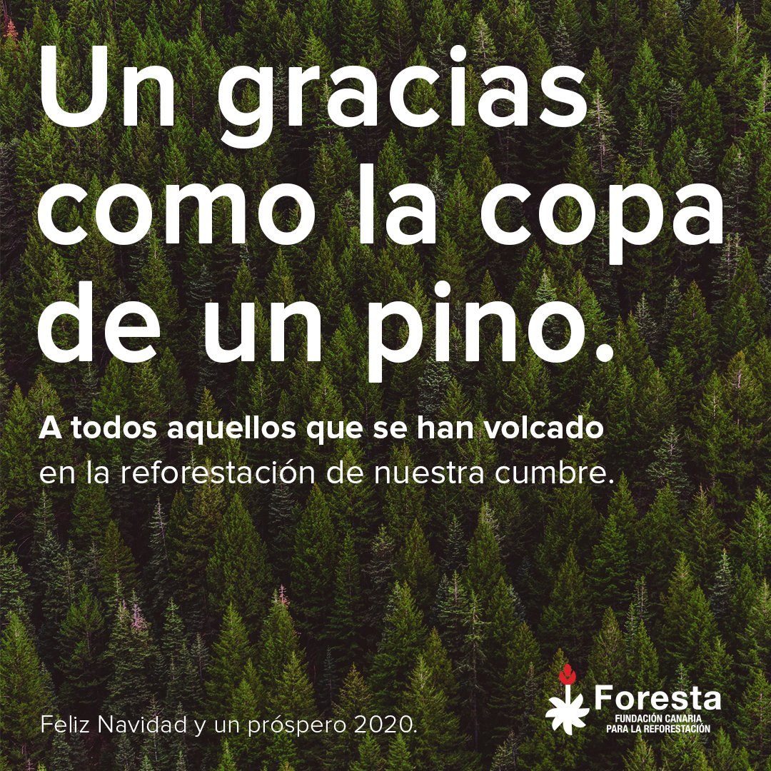 GRACIAS🌲 #Foresta #caetsutwo