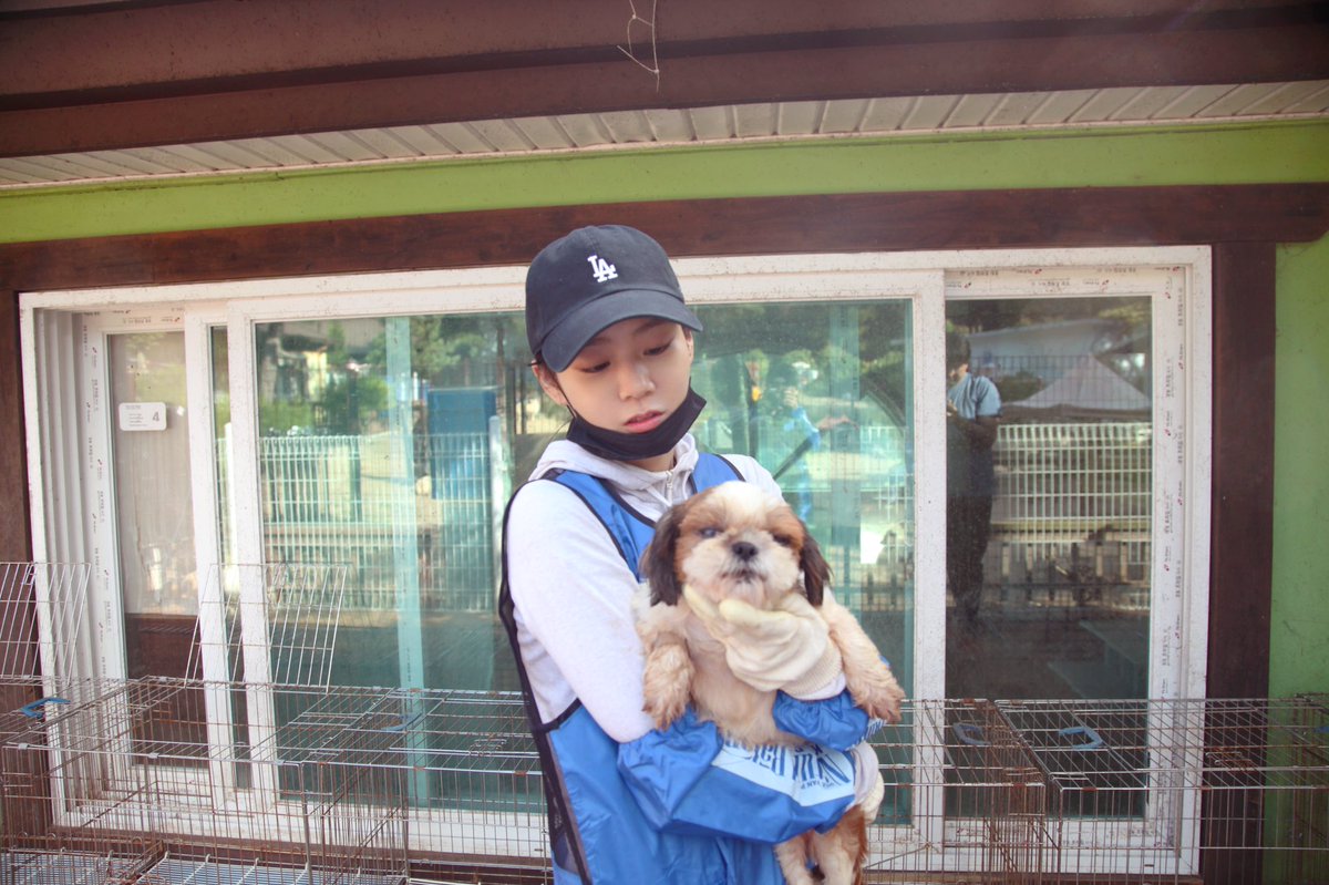[#포스트][#한승연]
⠀
요정 출신은 달라! 엔젤이 따로 없지♡~
엔젤들의 유기견 봉사~
⠀
▶ naver.me/54X8SBnB
⠀
#승연 #HANSEUNGYEON #SEUNGYEON
#유기견 #봉사활동 #비하인드 #블루엔젤봉사단
#레인보우쉼터 #인연엔터테인먼트