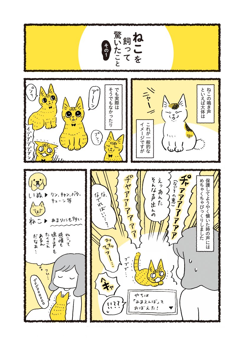 ねこを飼って驚いたこと①
鳴き声 