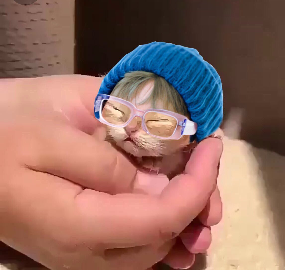 ตัวเท่านี้ในสายตาชั้น