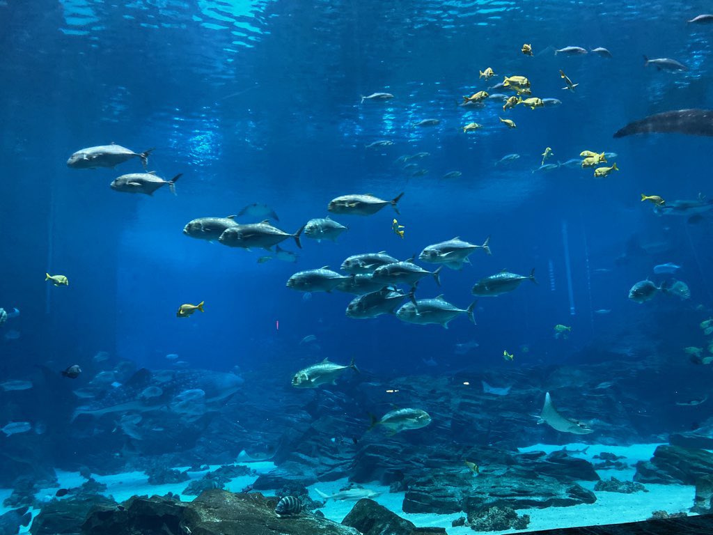 KyleCorbinHD's tweet image. This view though! #serene #hrFUNdamentals