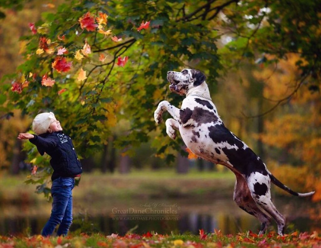 Sometimes all one needs is a hand to hold and a heart that understands. 💞💞💞