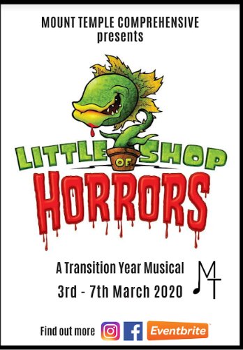 The MT team is bringing you a show to match any musical production in Dublin this year.  See the gym transformed into a magical tiered, seated auditorium. Listen to the 8 pce professional orchestra, sit back and be amazed by the singing, acting &amp; dancing talent at Mount Temple.