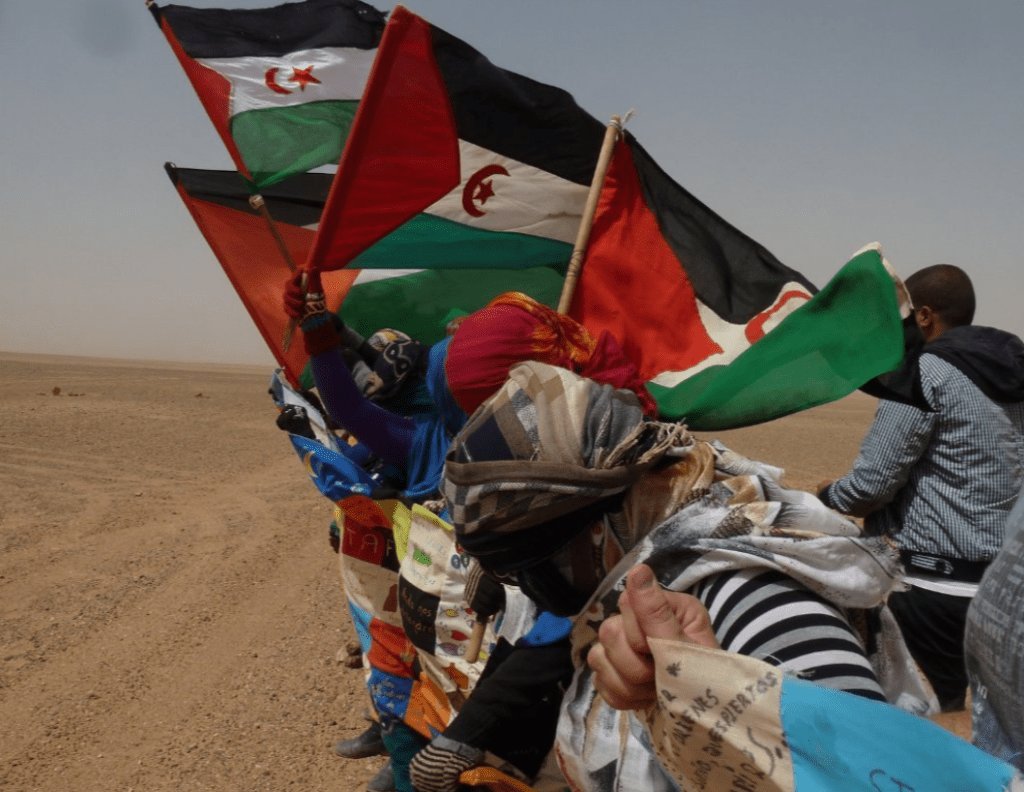 Sahara_1951's tweet photo. Mundubat @Mundubat: Sobran razones para unirse a la campaña #2720km contra el #MuroDeLaVergüenza construido por Marruecos en el #SáharaOccidental https://t.co/6iFXAKMBmY https://t.co/9lffLJSZEN
