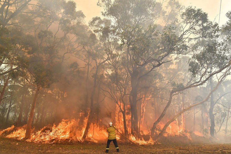 GREENAPARTNET's tweet image. Una vez más el planeta está en alerta. Australia está literalmente en llamas, incendios por todo el país que suponen una catástrofe para la salud, para la economía, pero sobre todo para la Biodiversidad. Cada donación suma para intentar salvar Australia.