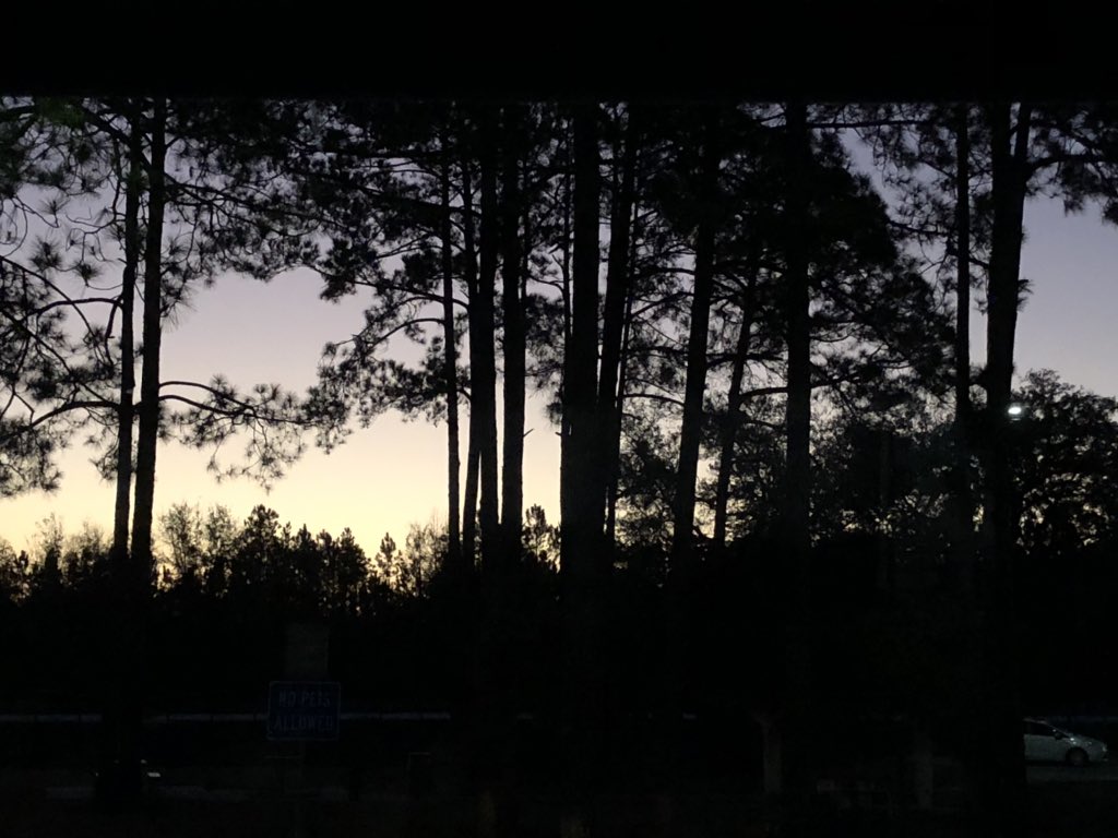 SammiKateP's tweet photo. The sun is peaking out to say good morning as students wake up in Georgia. Not too much longer til this crew takes on Jacksonville!! Their excitement is electric - especially for our first time travelers! #bhsjax #soasingers #onebutlertech #almostthere #herewego #southernsunrise https://t.co/USYlOkfmAs