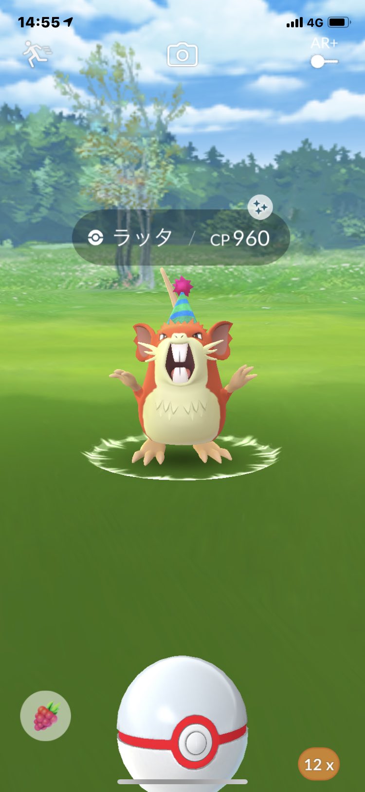 ラッタ色違い Twitter Search Twitter