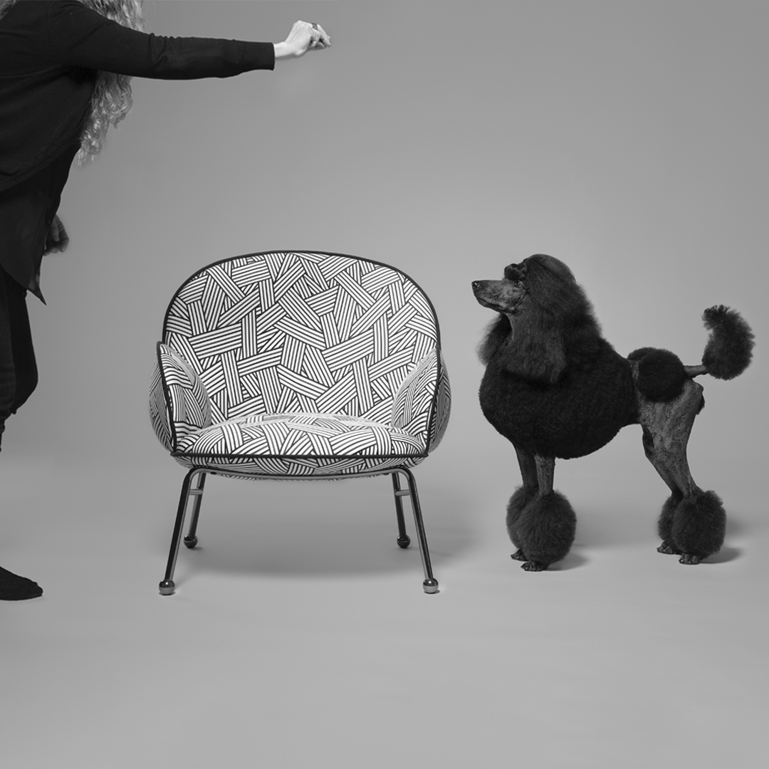 LagranjaCollection tweet media