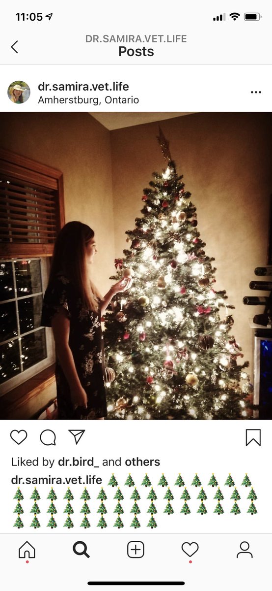 Here is a picture of Samira at my house for our yearly holiday party.  She had it on her instagram. She really loved learning about Canadian culture and sharing it with her friends around the world. <a href="/Aburg_TownHall/">Town of Amherstburg</a> <a href="/L_Porterlabrats/">Porter lab</a> #PS752 #AlwaysInOurHearts ❤️