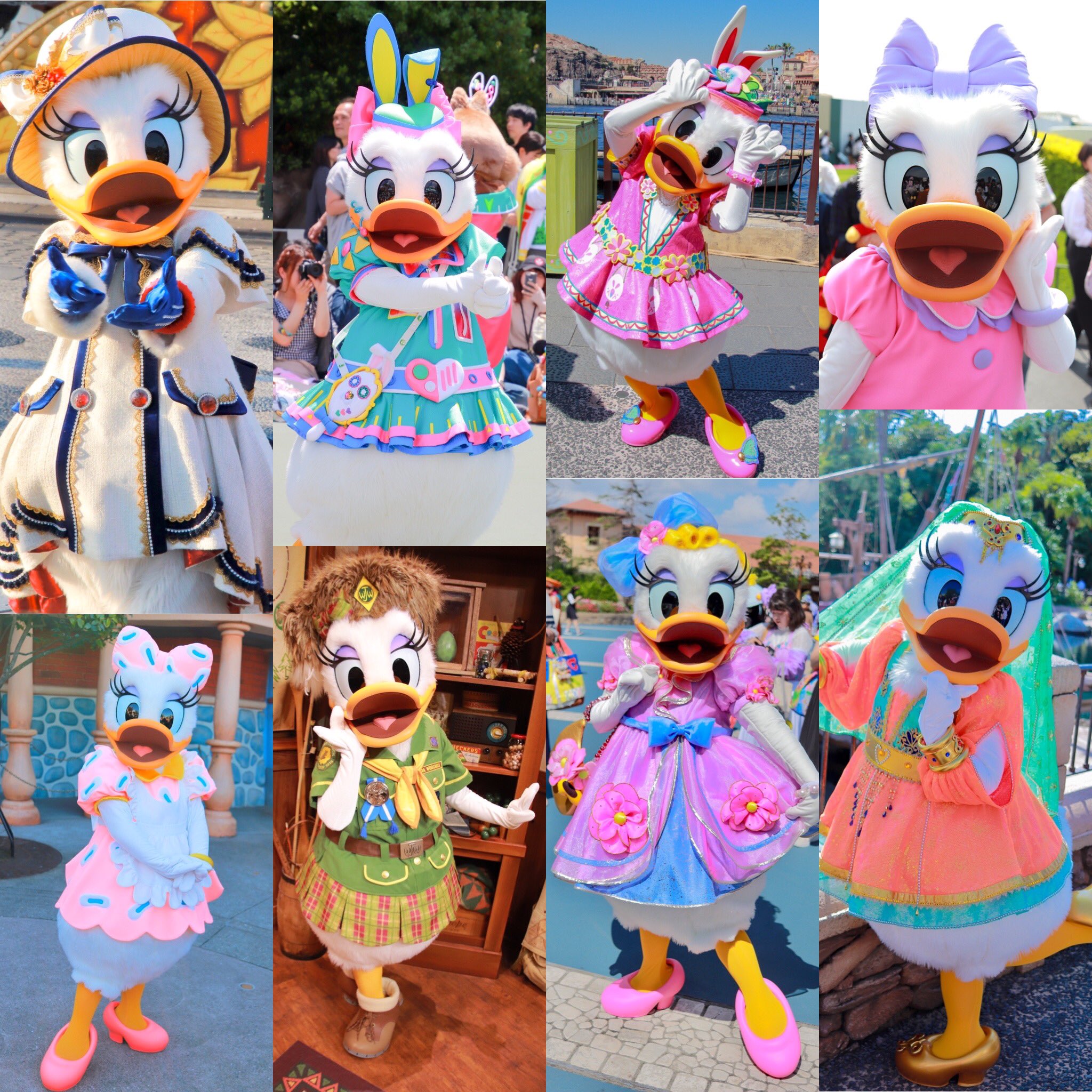 デイジー誕生日 Twitter Search Twitter