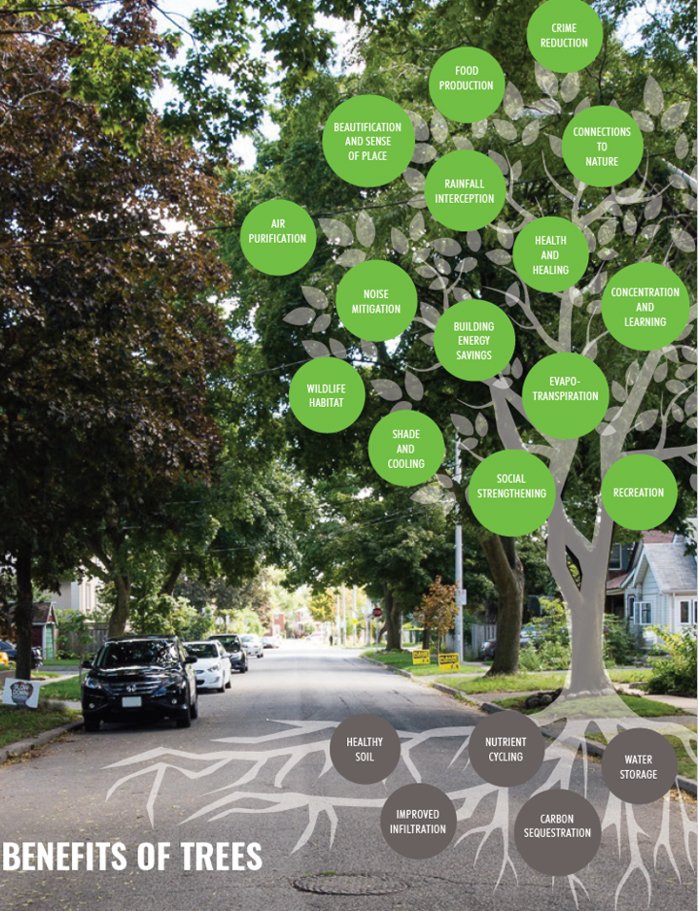 City of Toronto PFR tweet media