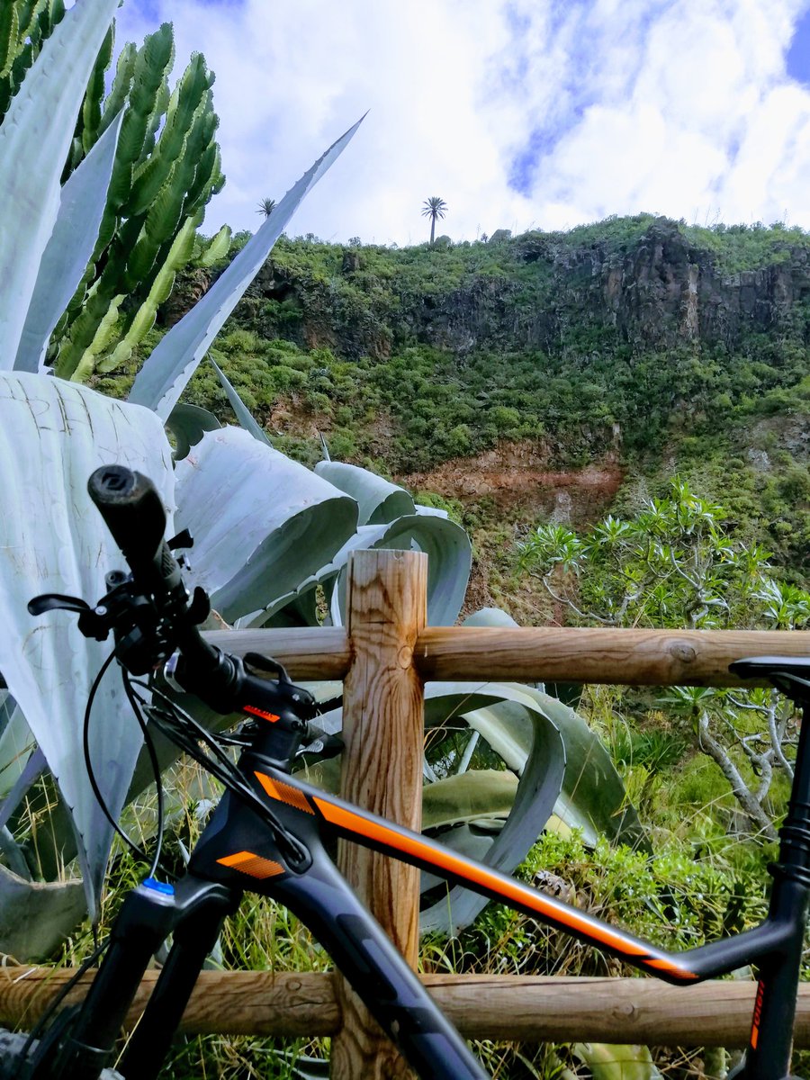 BiciGranCanaria's tweet photo. 🚴‍♂️
🔹
#MTBmood 🏞️ #MTBride
🔹
#bicicleta #bicycle #ciclismo #cycling #BTT #bttgrancanaria #MTB #mtbgrancanaria #scott #scottspark #syncros #bicycleschangelives #yosoyciclista #iamcyclist #cyclinglife #mtb29 #mtbshots #mtbpics #mtbbiker #29er #lovecycling #singletrack #senderos https://t.co/tpT2Ey3fOl