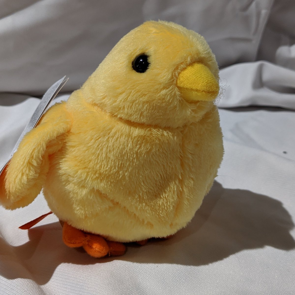 madRooster.com tweet media