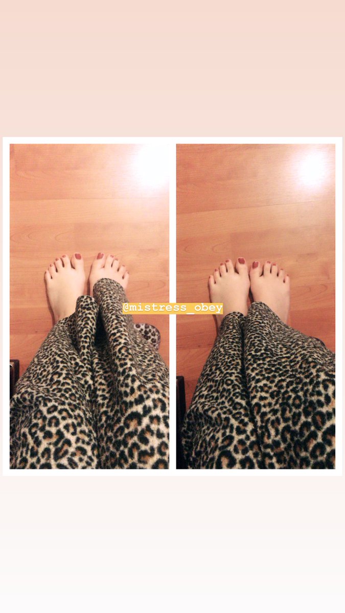 işime yarayacak köpekler yazsın fotoğraf ya da çorap satışı başladı🧨❗️🔥#rt #ayakfetiş #sahibe #mistress #fetişizm #bdsm #finansalköle #trample #footjob #facesitting #nagehan #ayak #fetiş #sadist #mazoşist #cockcrush #pussylicking #spitting #köle