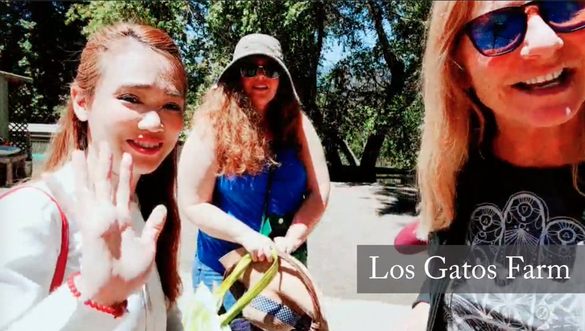 BlueUps's tweet photo. Los Gatos Farm: finished editing this video yesterday:
Sorry, I used my old phone, so the video quality is not so good.
https://t.co/3aYppk84aD
#losgatosfarm #tonikent #lavenderfarm #lavender #harvestseason #july #tour #youtube #outside42 #funtimes https://t.co/uZsJnse30V